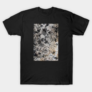 Granodiorite T-Shirt